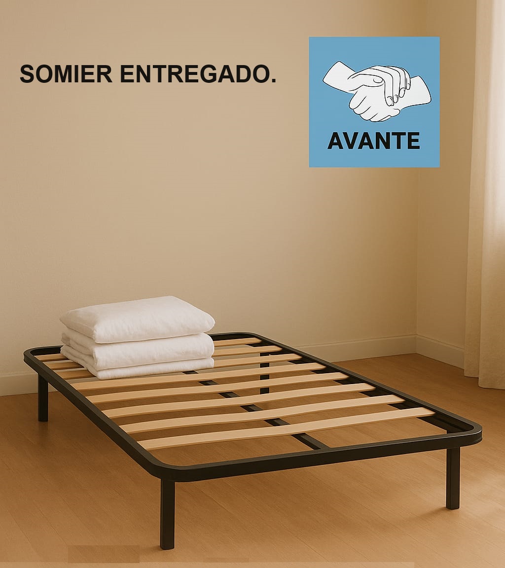 ENTREGA DEL SOMIER QUE SOLICITABAMOS